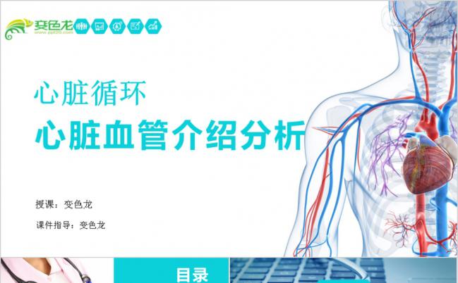 简约蓝色医学内科心脏血管分析通用PPT模板缩略图