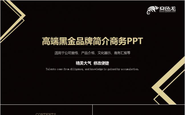 黑金商务企业简介商业计划书PPT模板缩略图
