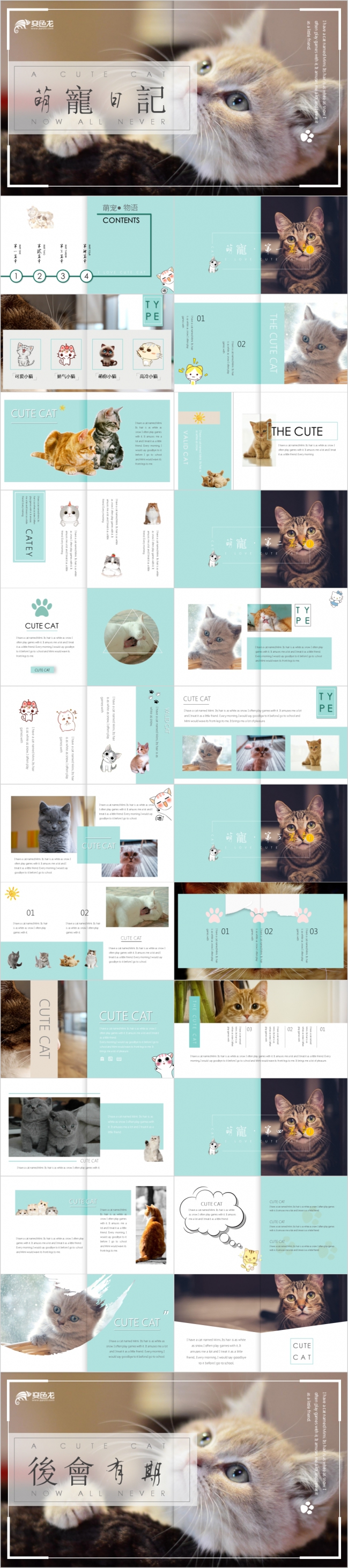 萌宠系列猫咪宠物相册PPT模板