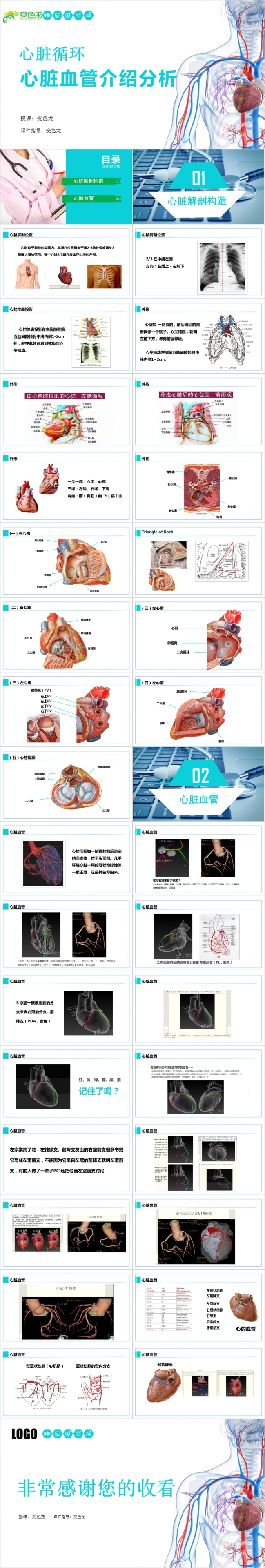 简约蓝色医学内科心脏血管分析通用PPT模板