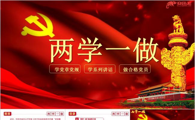 党章党规两学一做专题党课学习PPT模板缩略图