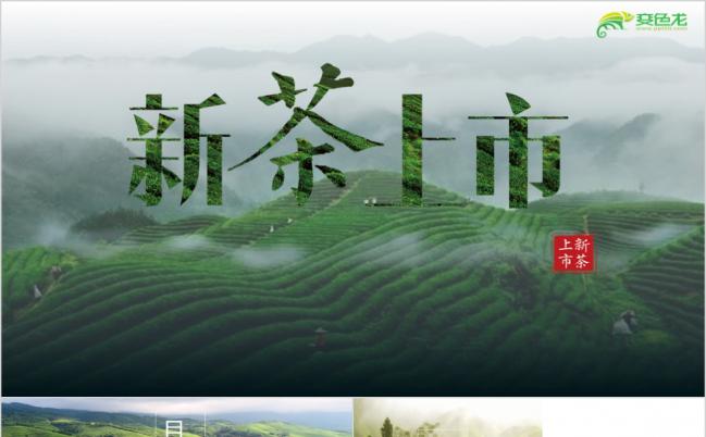 绿色自然风茶文化宣传茶道动态PPT模板缩略图