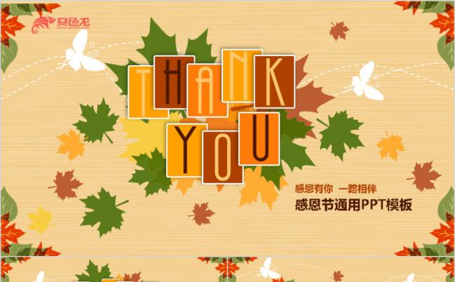 清新枫叶风感恩节教育培训/节日课件/品牌介绍ppt模板缩略图