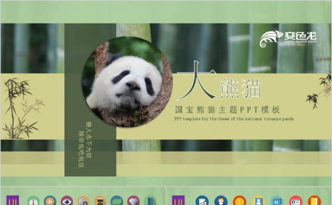 绿色竹林生物国宝熊猫主题PPT模板缩略图