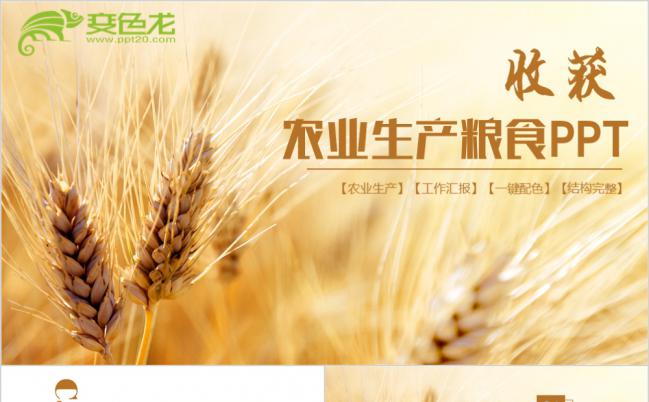 极简风农业生产粮食农产品招商新农村建设PPT缩略图