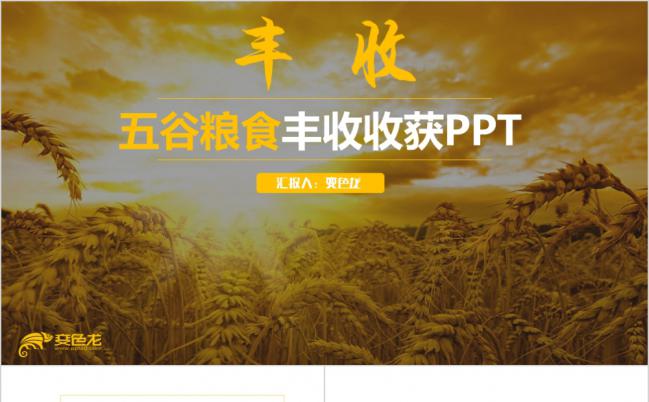 金色动感五谷粮食农产品总结PPT模板缩略图