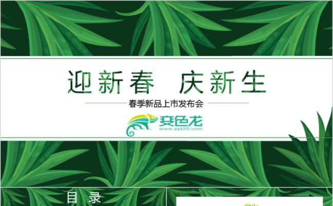 绿意自然风春天主题产品项目汇报PPT缩略图