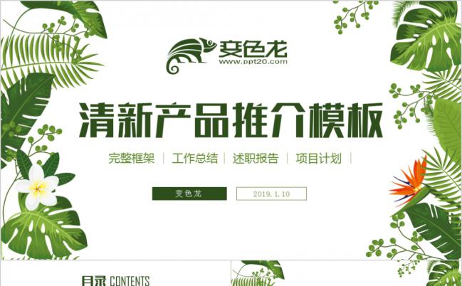 清新叶子产品推介商务推广PPT模板缩略图