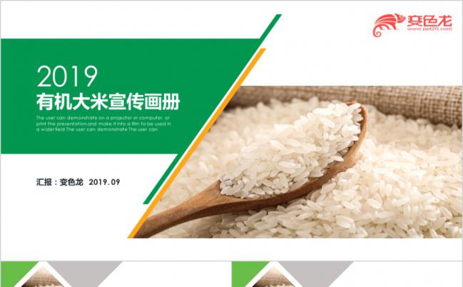 2019简约绿色有机大米水稻农业丰收汇报PPT模板缩略图