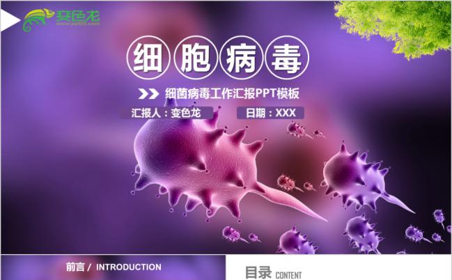 医疗行业细菌病毒微生物细胞组织工作汇报PPT模板缩略图