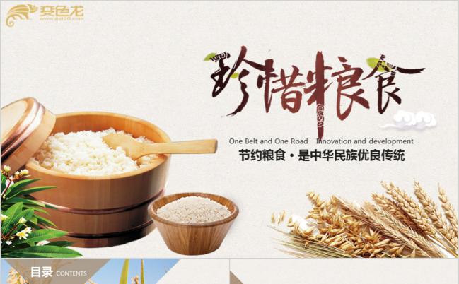 珍惜粮食公益宣传教育简介PPT模板缩略图