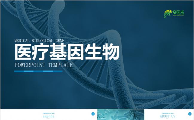细菌病毒医学细胞基因生物医学基因DNA遗传生命学医院医疗PPT模板缩略图