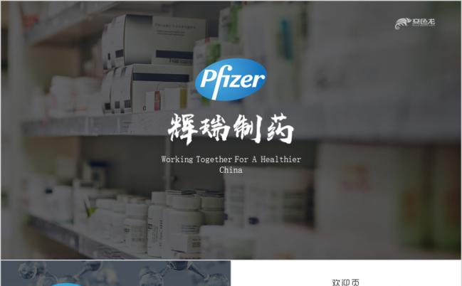 辉瑞制药公司企业简介年度报告PPT模版缩略图