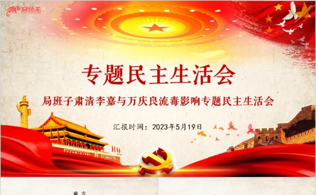 党政专题民主生活会党政党课学习通用PPT模板缩略图