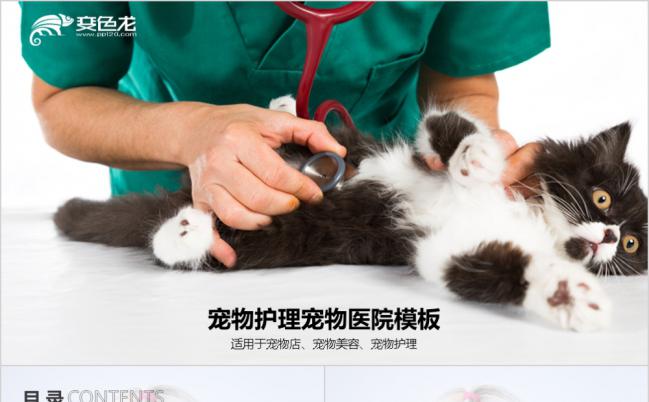 扁平设计宠物护理宠物店总结汇报PPT模板缩略图