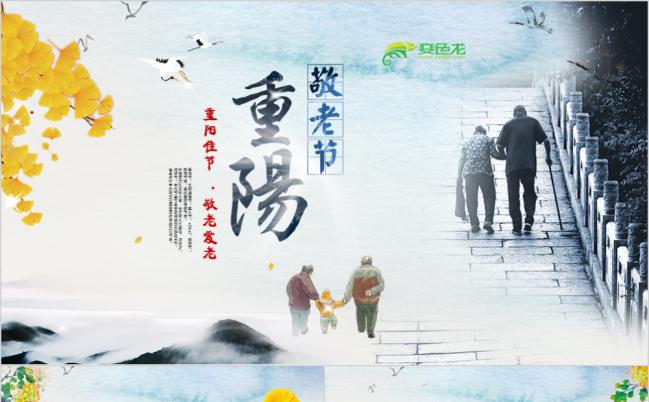 关爱老人九九重阳节节日介绍活动策划PPT模板缩略图