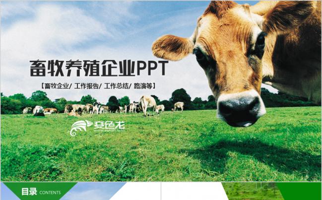 清新简约草原畜牧业奶牛养殖乳业PPT模板缩略图
