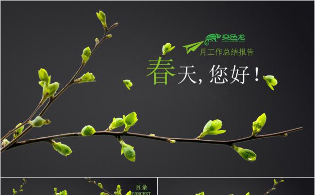 清新春天您好工作总结计划PPT模板缩略图