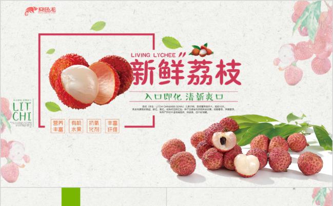 扁平设计新鲜水果荔枝宣传种植动态PPT模板缩略图