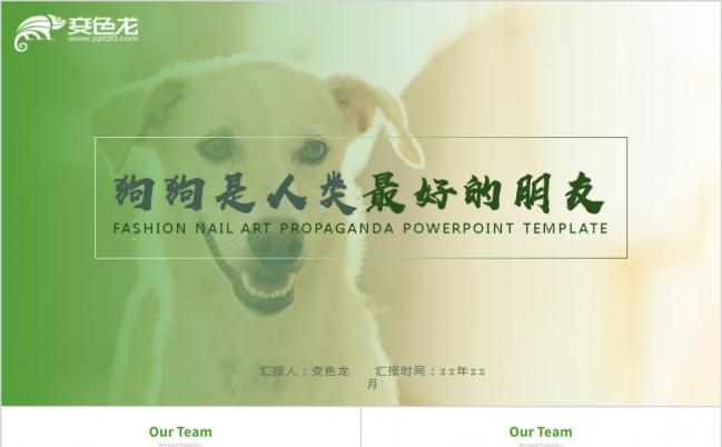 可爱风萌宠工作总结汇报PPT模板缩略图