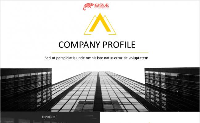 灰色简约商务风工作报告商务洽谈产品展示ppt模板缩略图