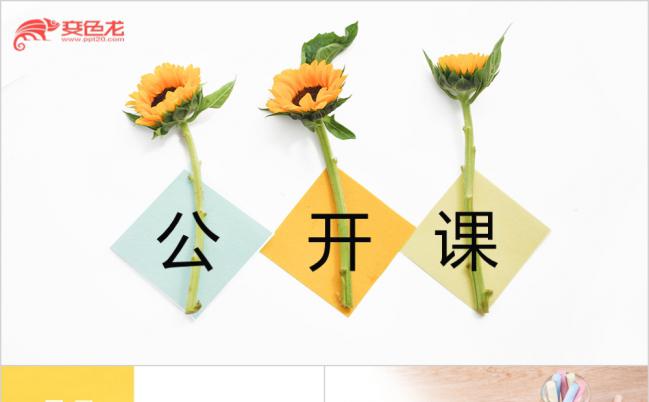 精美小清新菊花教师公开课培训演讲ppt动态模板缩略图