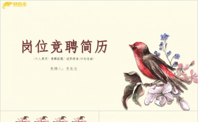 清新文艺风求职简历面试竞聘应聘PPT模板缩略图
