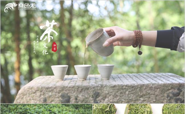 品味人生清新淡雅健康养生中国茶文化ppt模板缩略图
