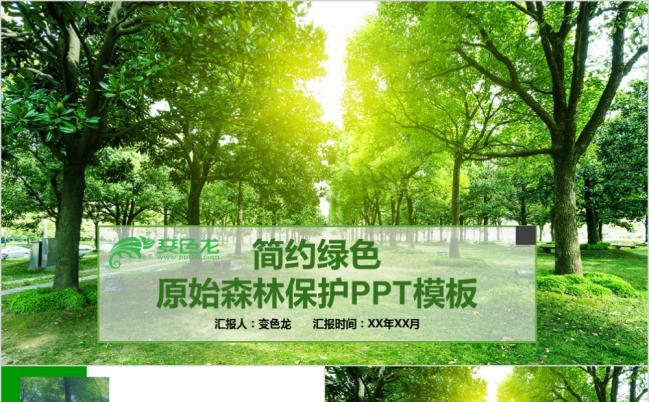 简约绿色原始森林湿地植树造林森林环保PPT模板缩略图