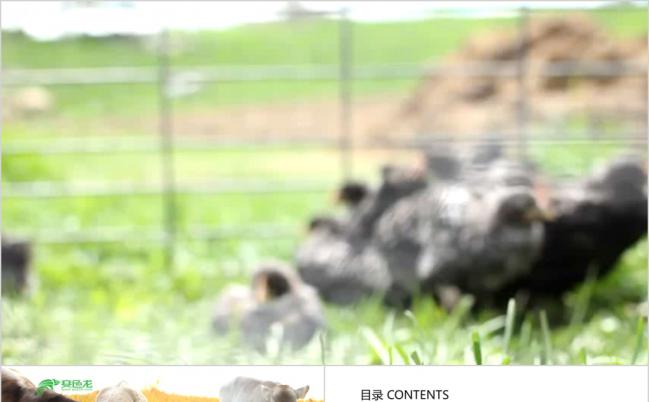 自然风开场视频农场畜牧业ppt动态模板缩略图