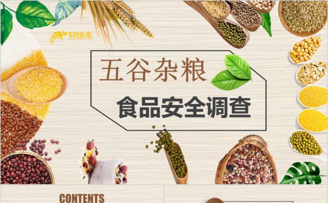 中式复古简约五谷杂食品安全调查PPT模版缩略图