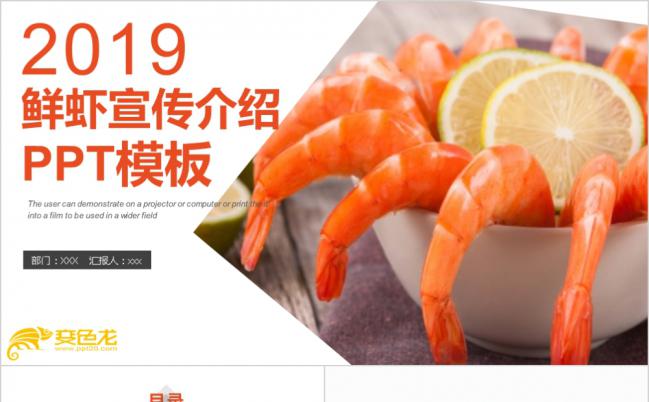 2019简洁亮彩鲜虾宣传介绍PPT模版缩略图