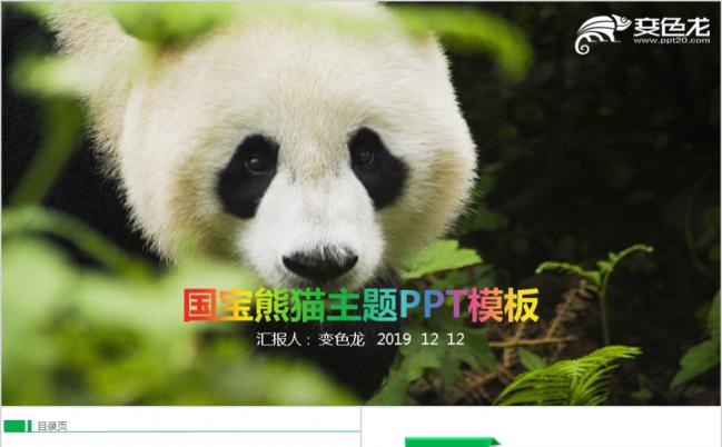 蠢萌国宝大熊猫动物保护公益行动ppt动态模板缩略图