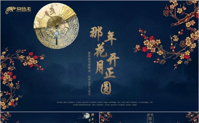 那年花开月正圆梅花中国风工作总结计划PPT模板缩略图