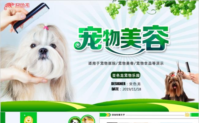绿色可爱宠物店美容医院狗粮介绍PPT模板缩略图