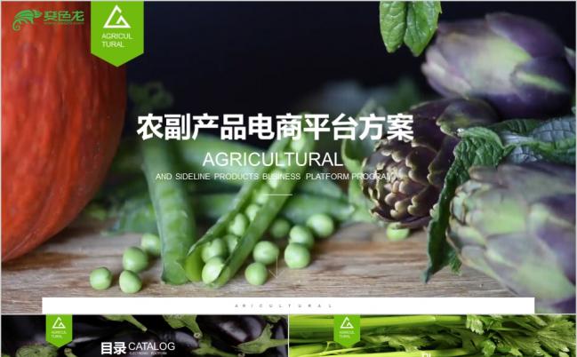天然绿色有机农副产品电商平台建设方案PPT模板缩略图