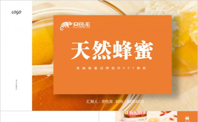 极简风纯天然蜂蜜养生美食蜜蜂蜂蜜宣通用ppt模板缩略图