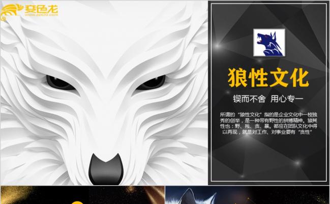 彩色拼接风狼性文化狼道精神员工激励培训PPT模板缩略图