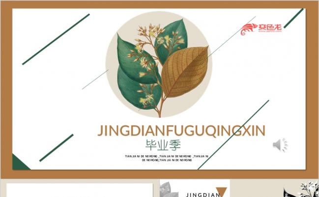 韩范经典复古文艺小清新毕业季通用PPT模板缩略图