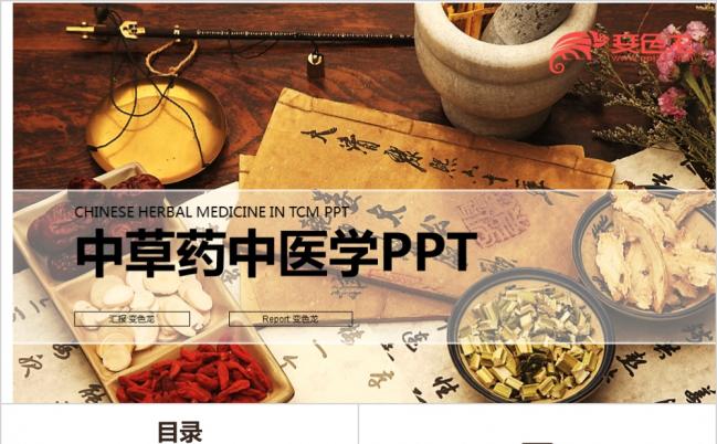古韵风中草药中医学针灸 传统文化 中医养生 药材药学PPT缩略图