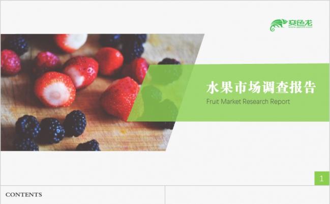 舌尖尖水果之水果市场调查报告调研汇报PPT模版缩略图