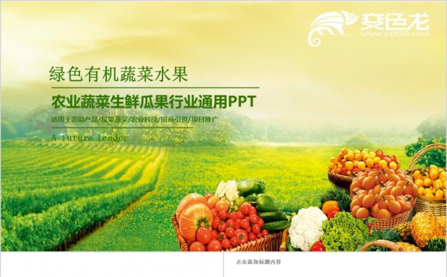 绿色有机天然农业蔬菜水果生鲜瓜果行业通用ppt模板缩略图