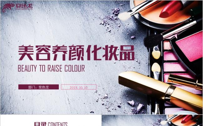 时尚高端美容美体机构化妆品肌肤护理商业计划书PPT模板缩略图