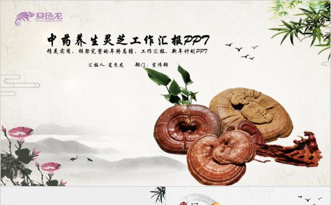 中国风中药养生灵芝宣传动态PPT模板缩略图