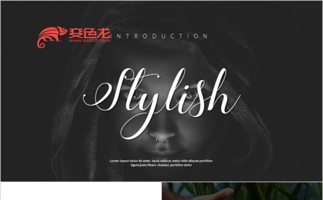 2019时尚杂志画册风格商务PPT模板缩略图