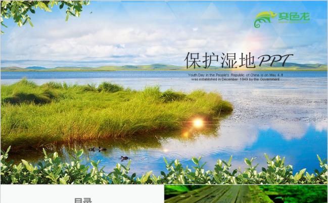 绿色清新环保世界湿地森林日公益宣传PPT模板缩略图