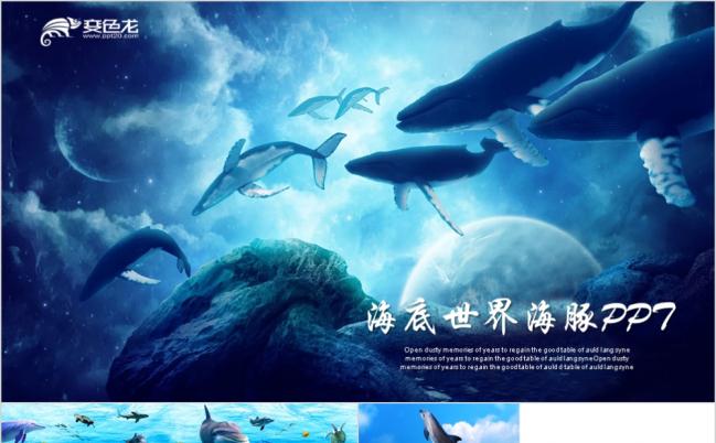 蓝色海底世界海豚鱼类工作汇报ppt动态模板缩略图