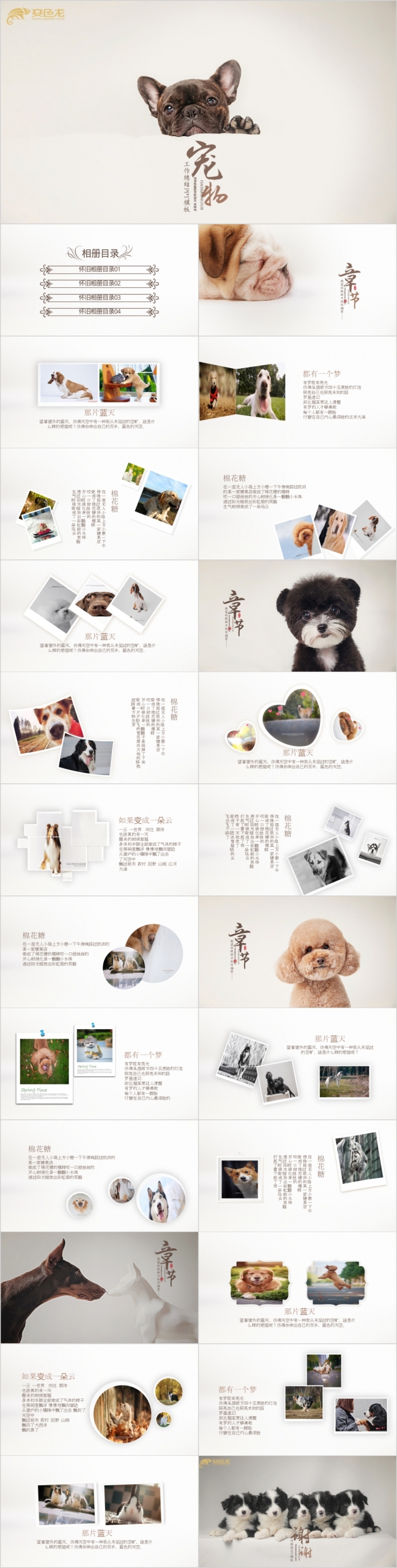 犬型合集电子相册宠物店专题ppt动态模板