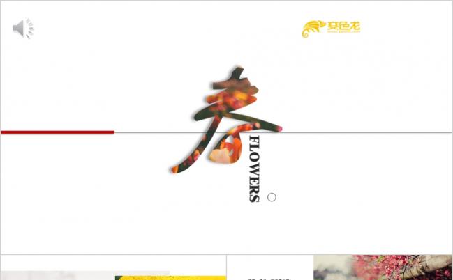 春意盎然主题相册展示PPT模版缩略图