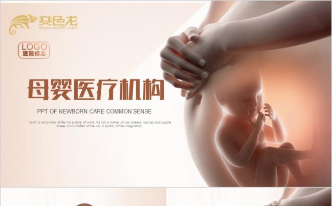 简约完整母婴医疗机构宣传PPT模版缩略图